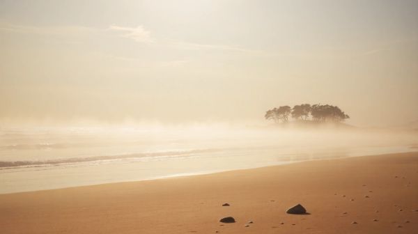 5 conseils des sophrologues à Saint-Brévin-les-Pins pour apaiser le stress